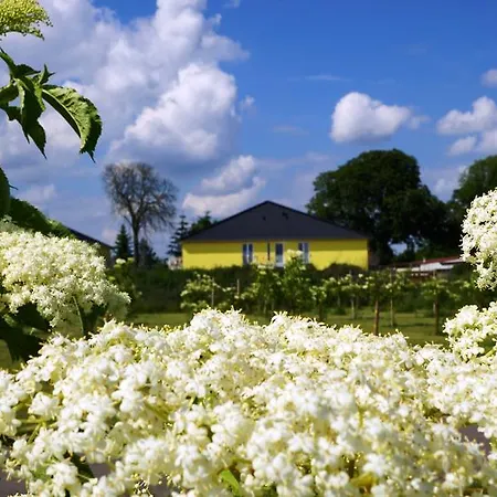 Lägenhet Severin Apartments