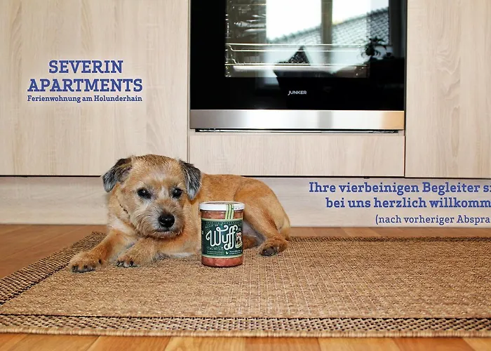 Severin Apartments דירה *